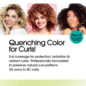 All About Curls® Curl Quench After-Color Conditioner