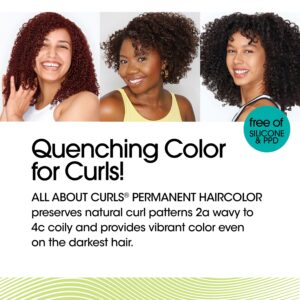 All About Curls® Quenching Permanent Haircolor For Curls – Blonde Shades
