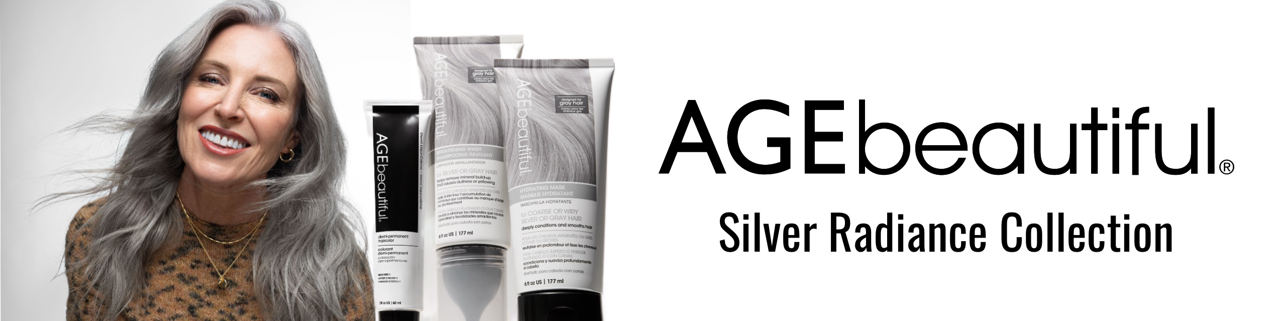 Silver Banner Desktop